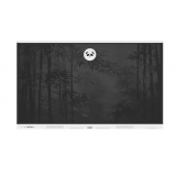 Monitor interaktywny myBoard Panda 65”